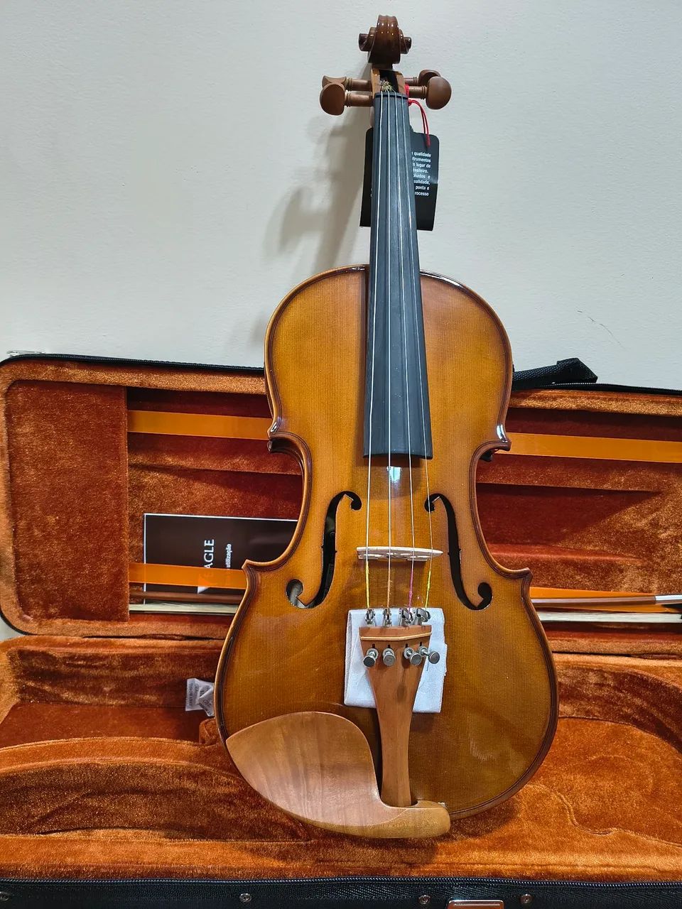 Violino Eagle VE441 Completo  - Foto 2