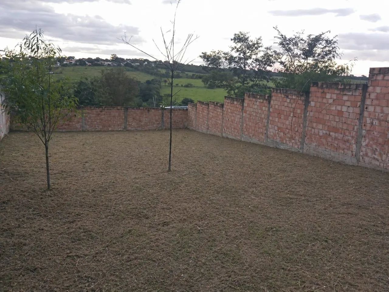 Foto - Igarapé - Novo Igarapé