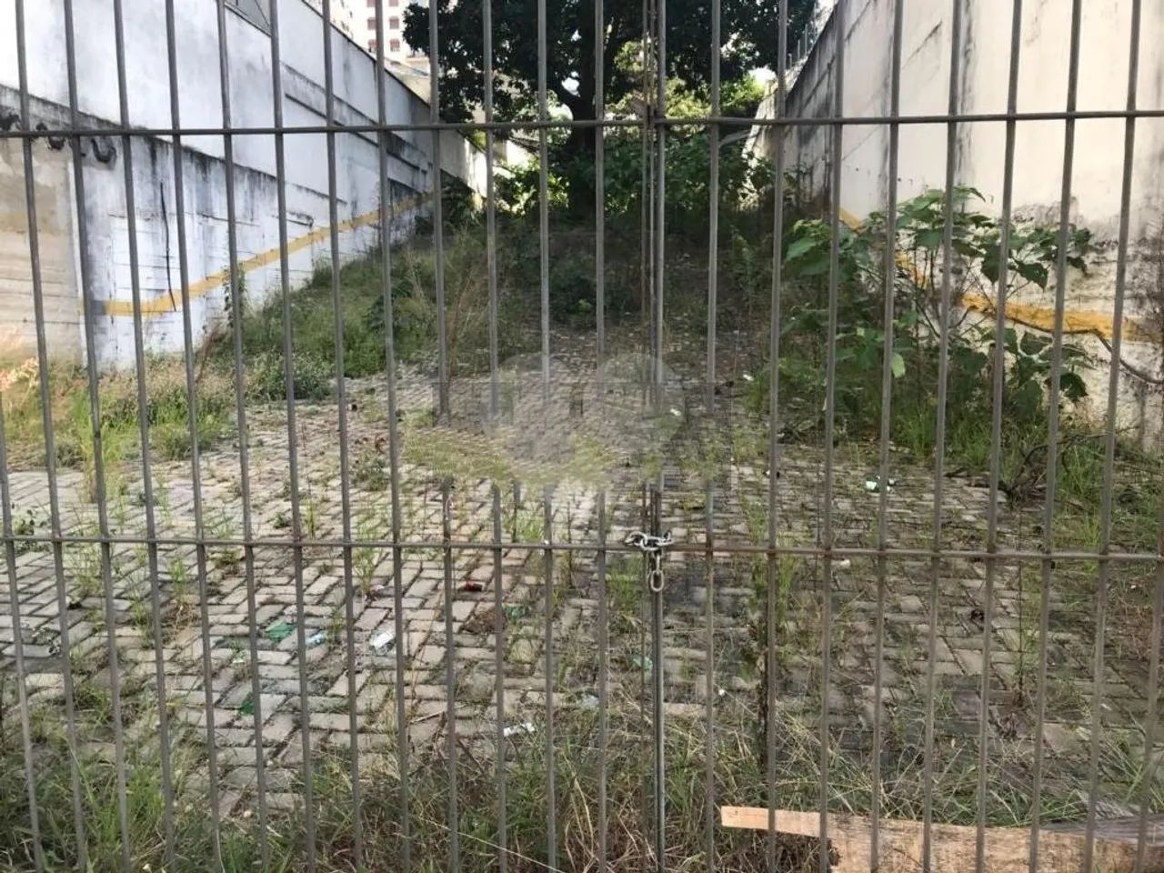 Terreno à venda em Vila uberabinha - SP - Foto 5