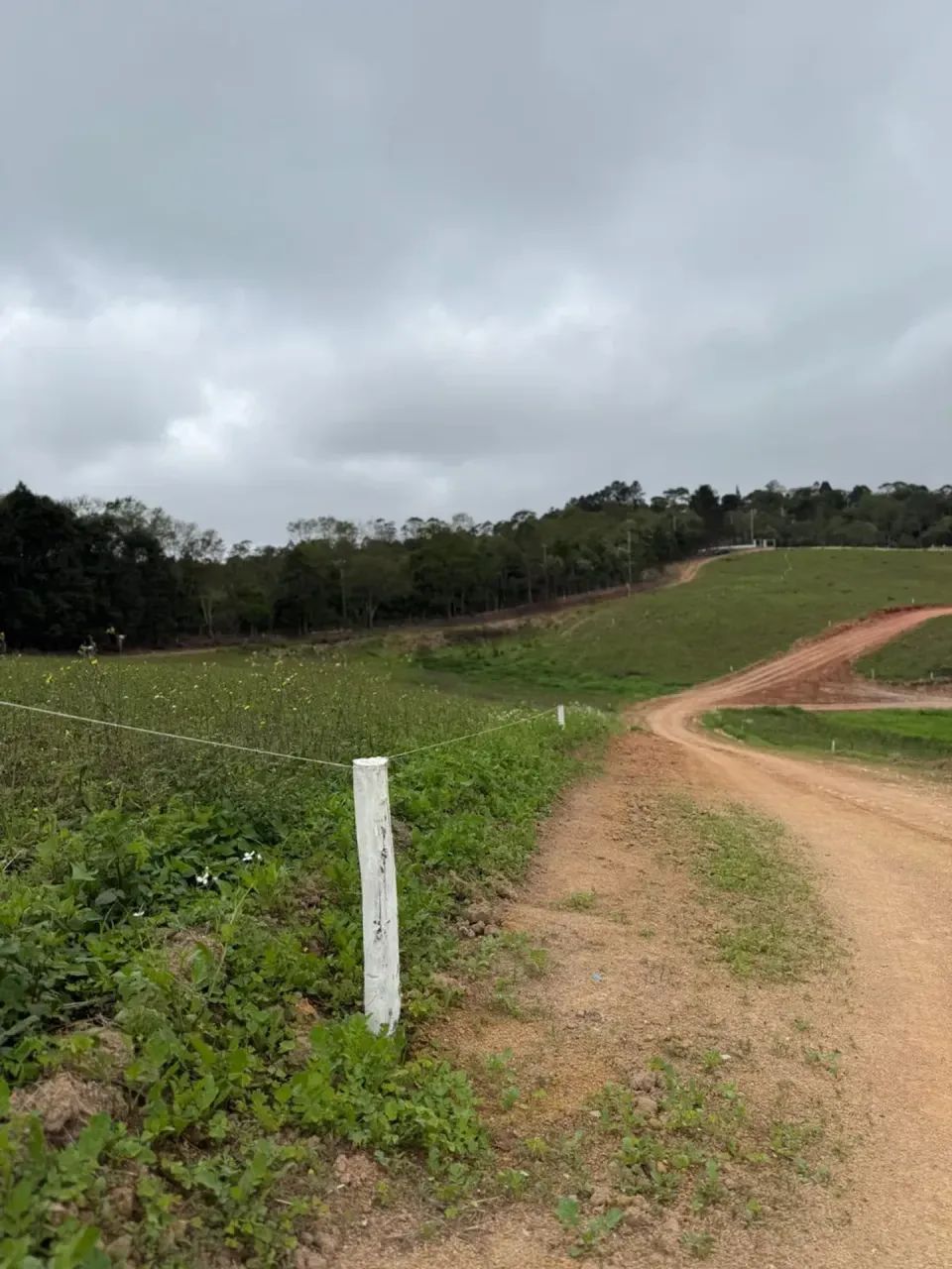83CN - Terrenos para Área de Lazer - Foto 5