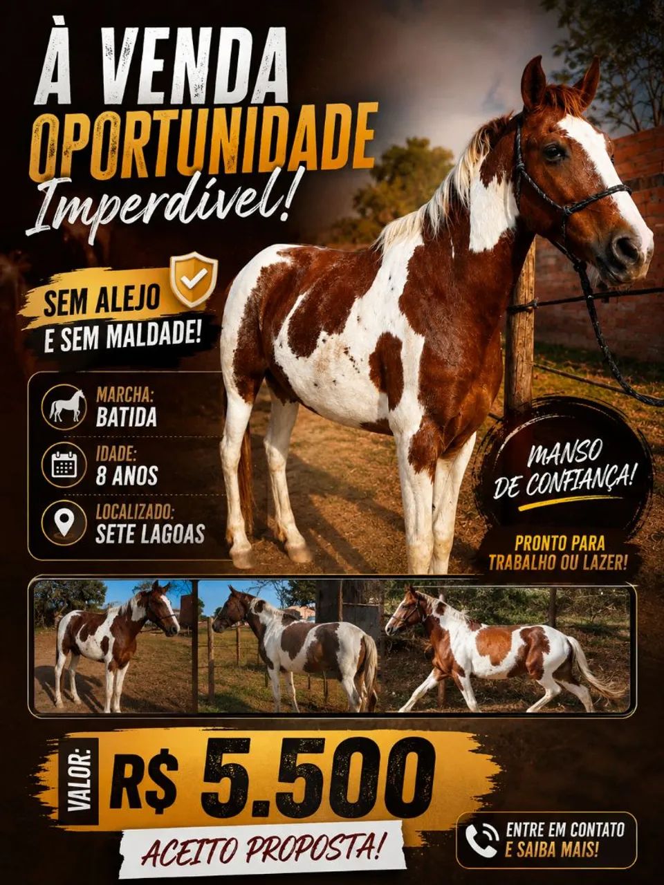 Cavalo