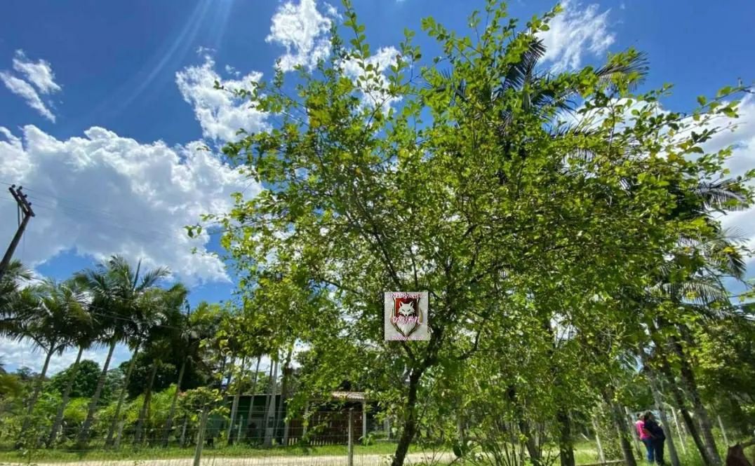 Chacara no gaivotas itanhaem - Foto 4