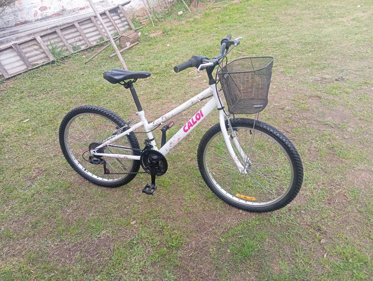 TORRO CALOI CESI ARO 24 ?? - Foto 5