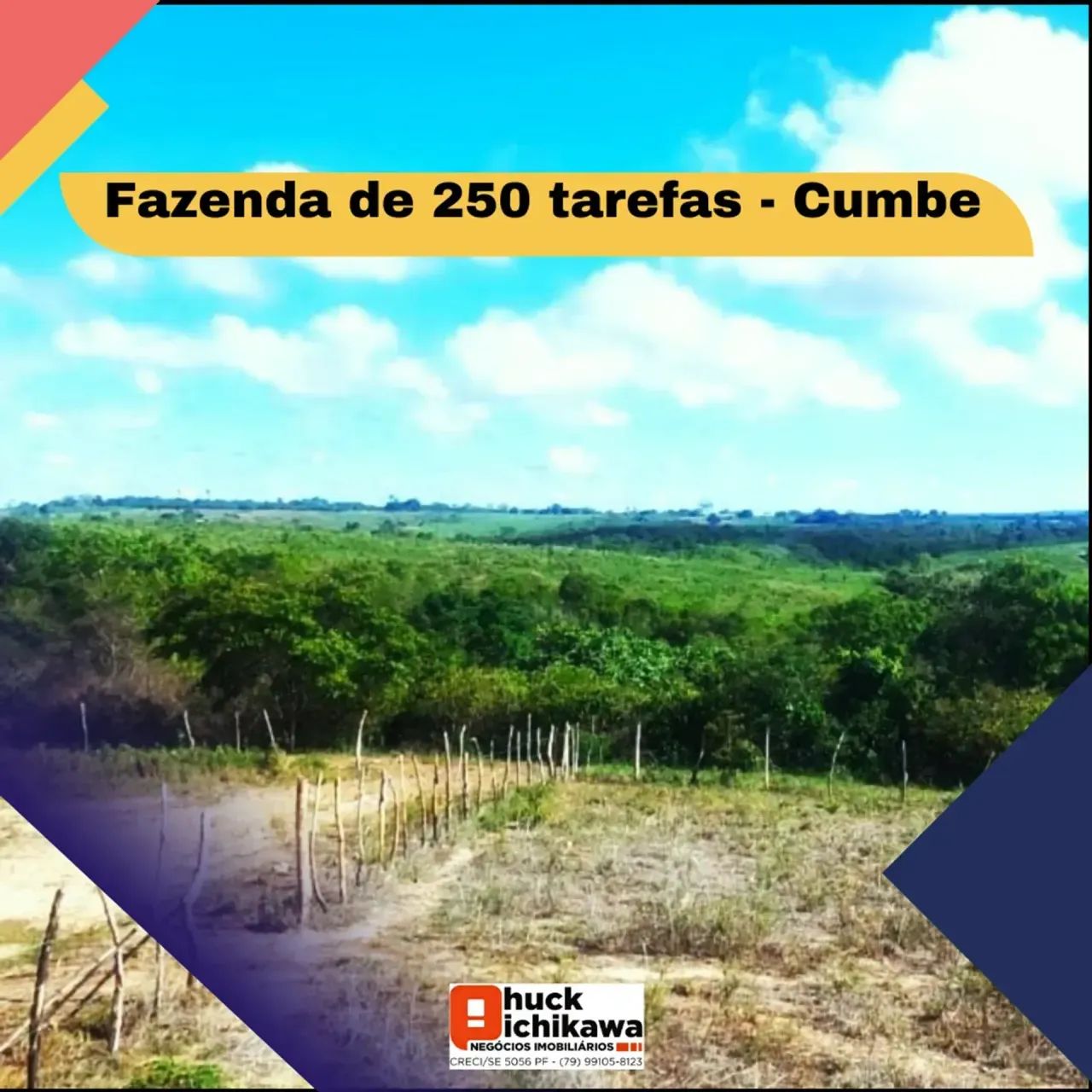 Fazenda de 250 tarefas - Cumbe - Foto 3