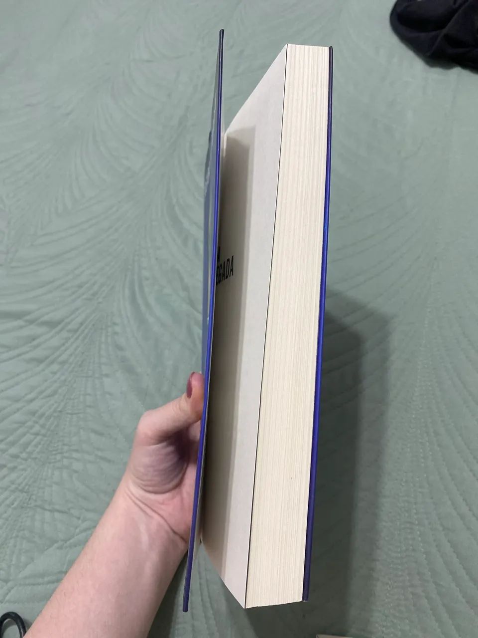 Livro- A empregada  - Foto 2