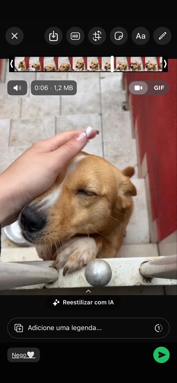 Cachorrinha para adoção  - Foto 2