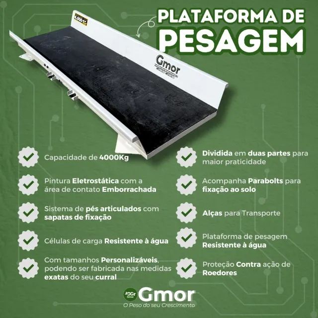 BALANÇA PARA PESAGEM DE GADO - USADA - Foto 4