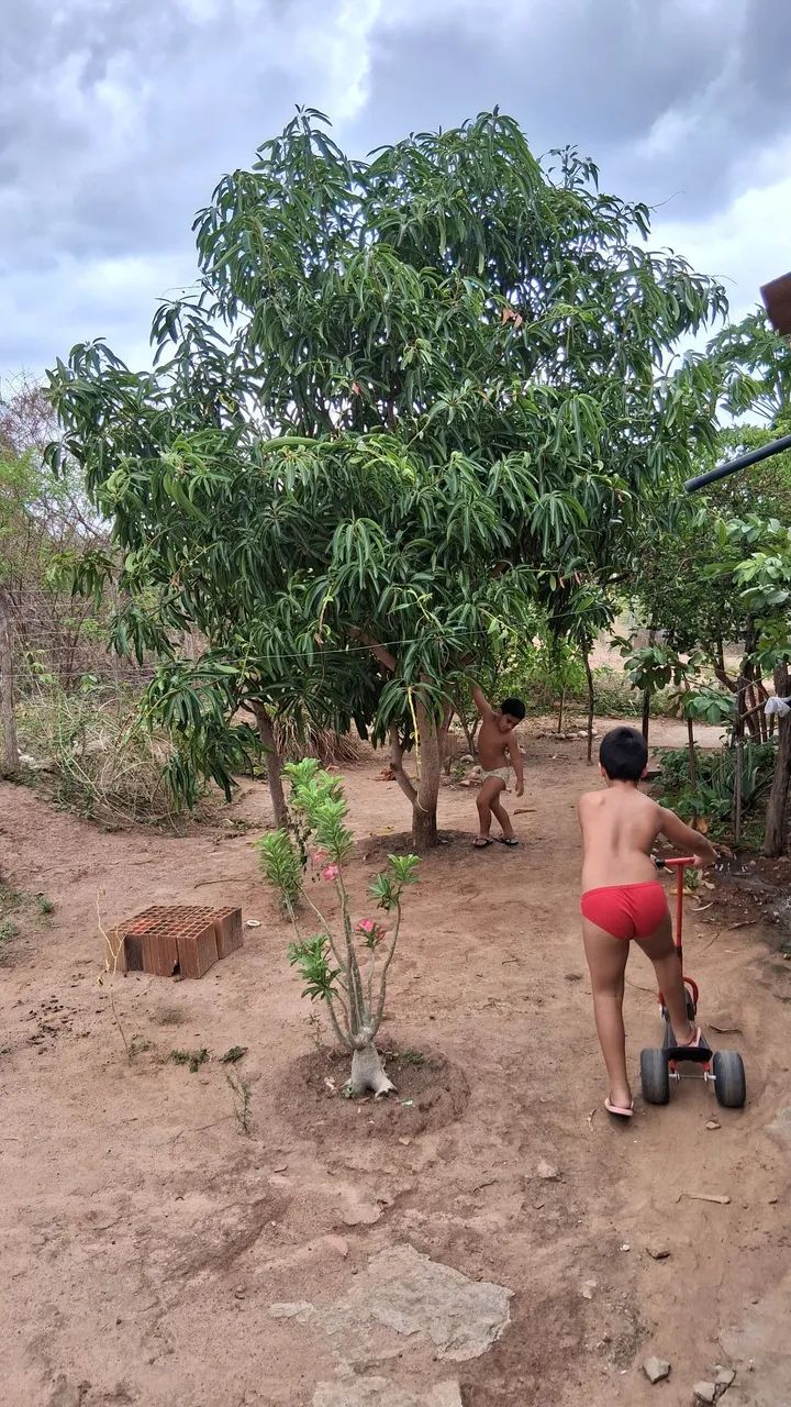 Casa em Antônio diogo  - Foto 4
