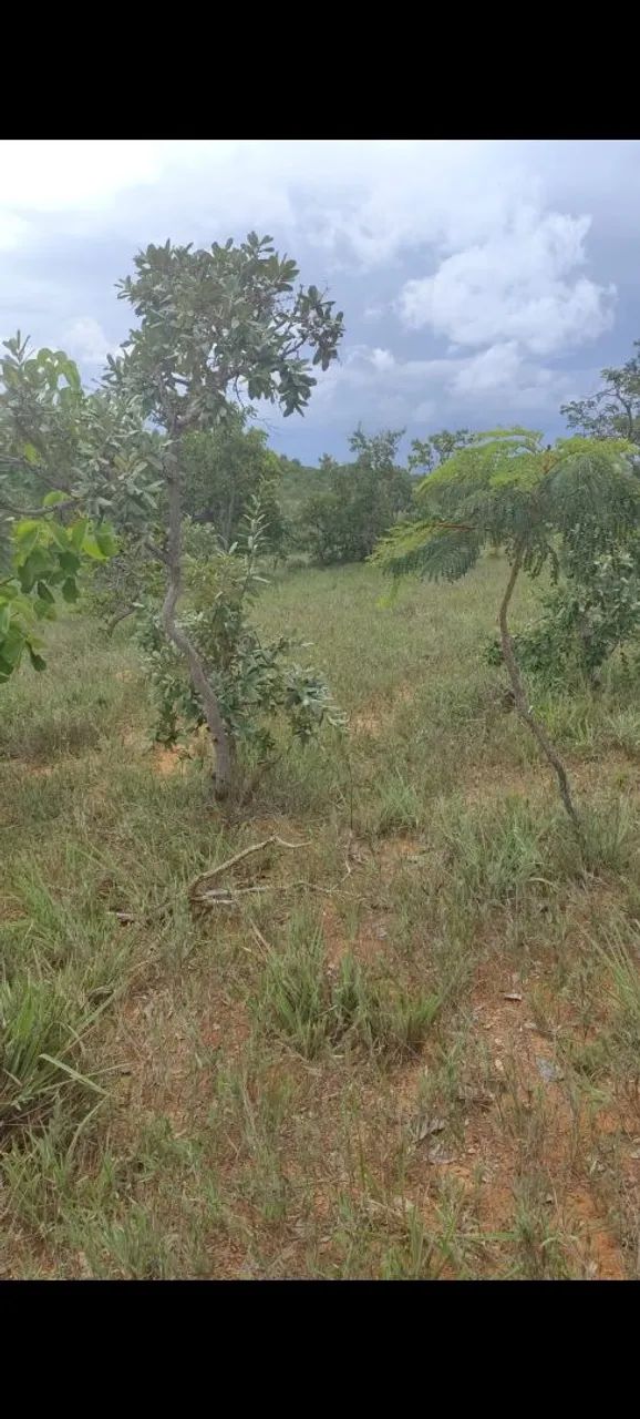 Imóvel Rural a Venda 