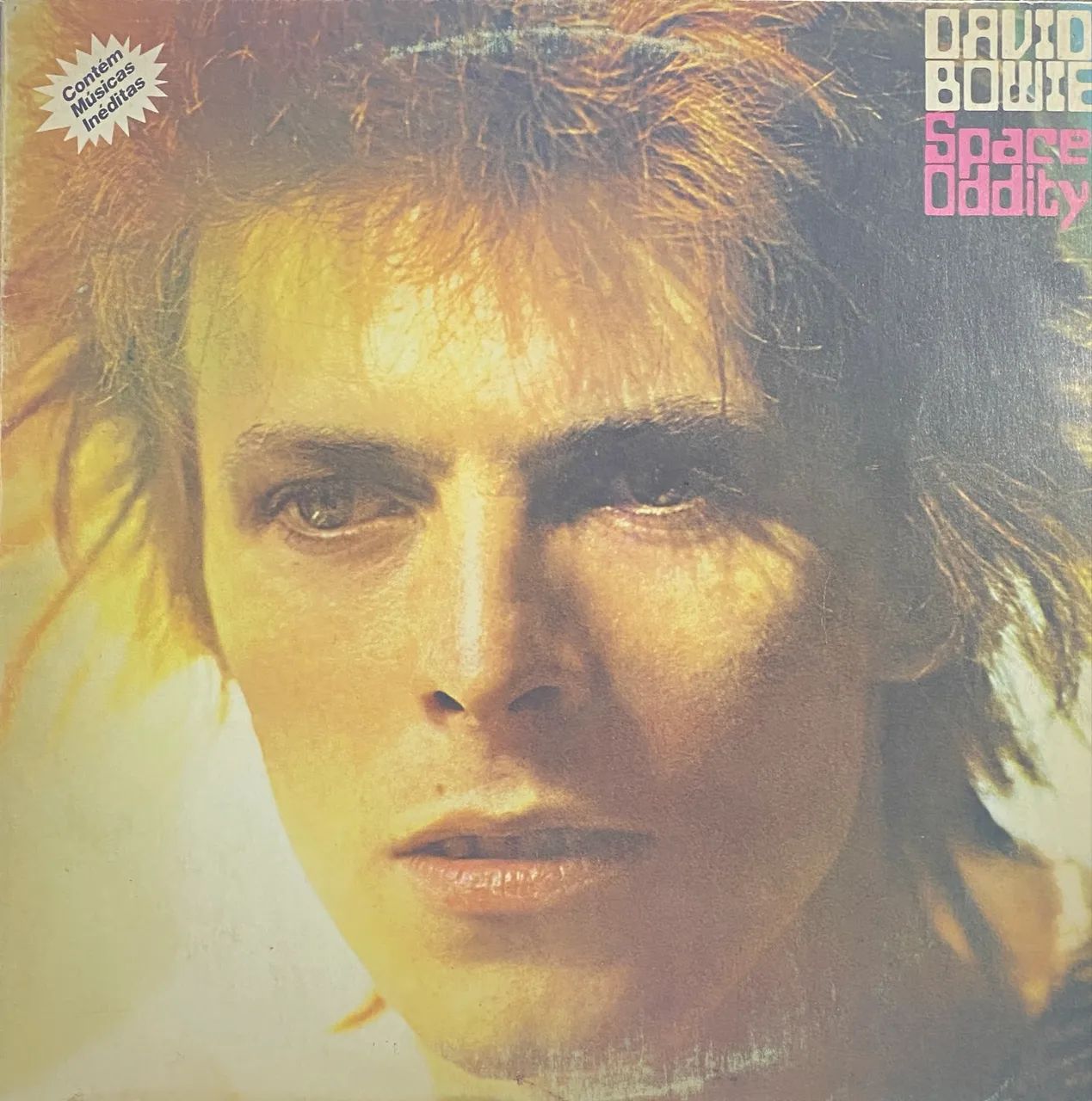 Colecionável David Bowie - Space Oddity | LP Vinil Nacional 1990