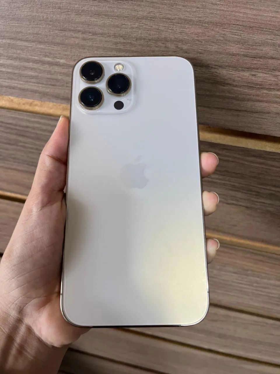 IPHONE 13 PRO MAX - 256 GB