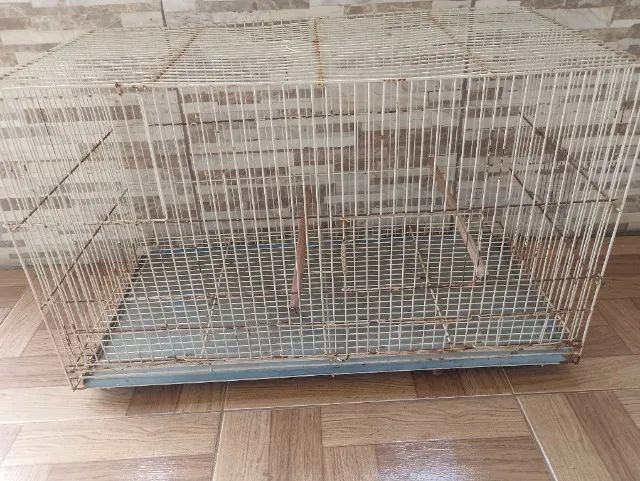 Gaiola para calopsita  - Foto 3