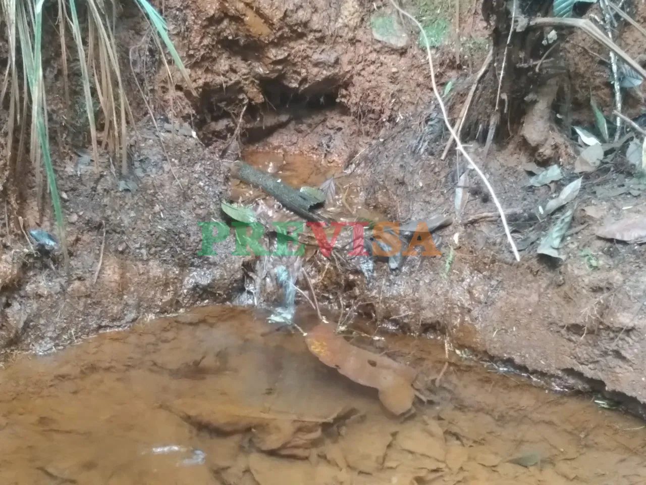 Fazenda / Sítios / Chácaras com 3 quartos à venda em Barão De Cocais - Foto 4
