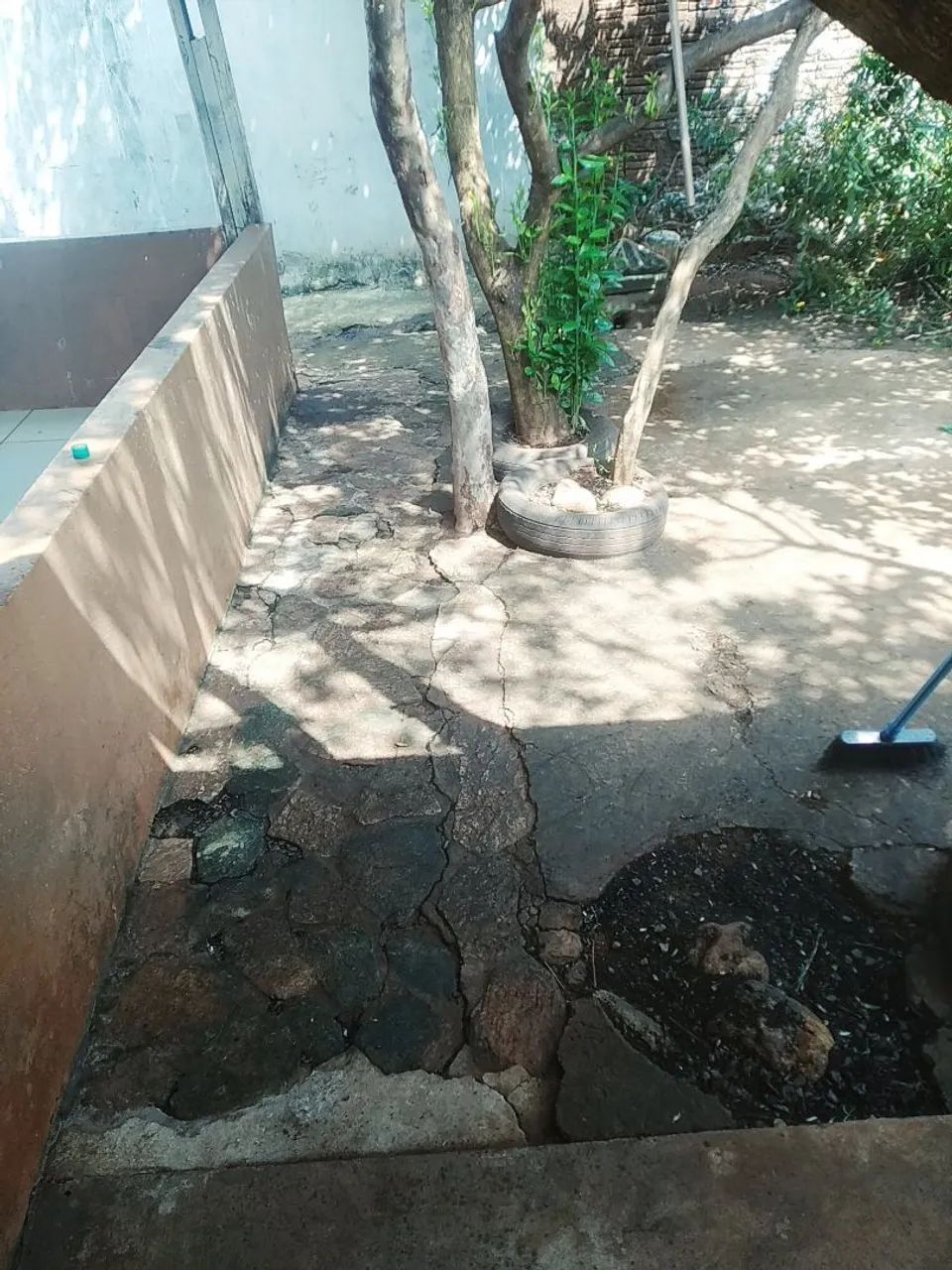 Limpeza de terreno 