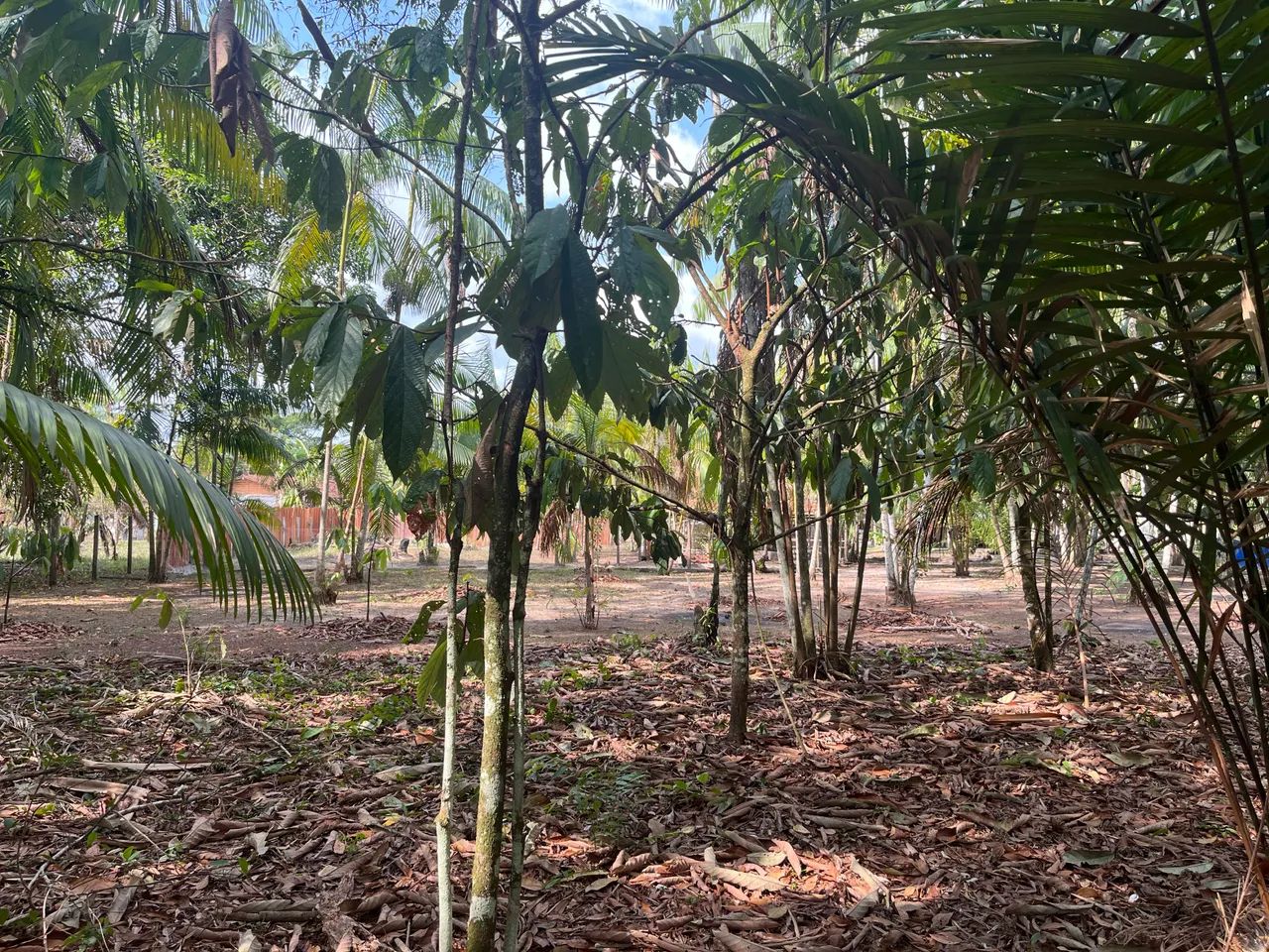 Casa em Santa Bárbara-Pa - Foto 2