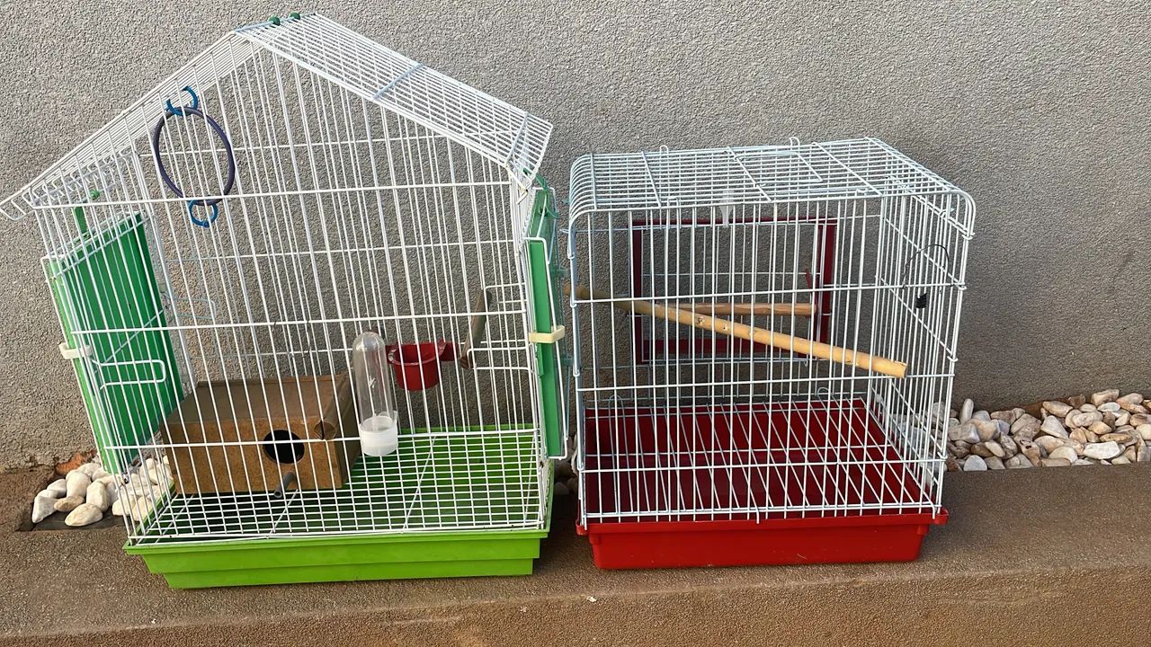 Gaiolas passarinhos  - Foto 2