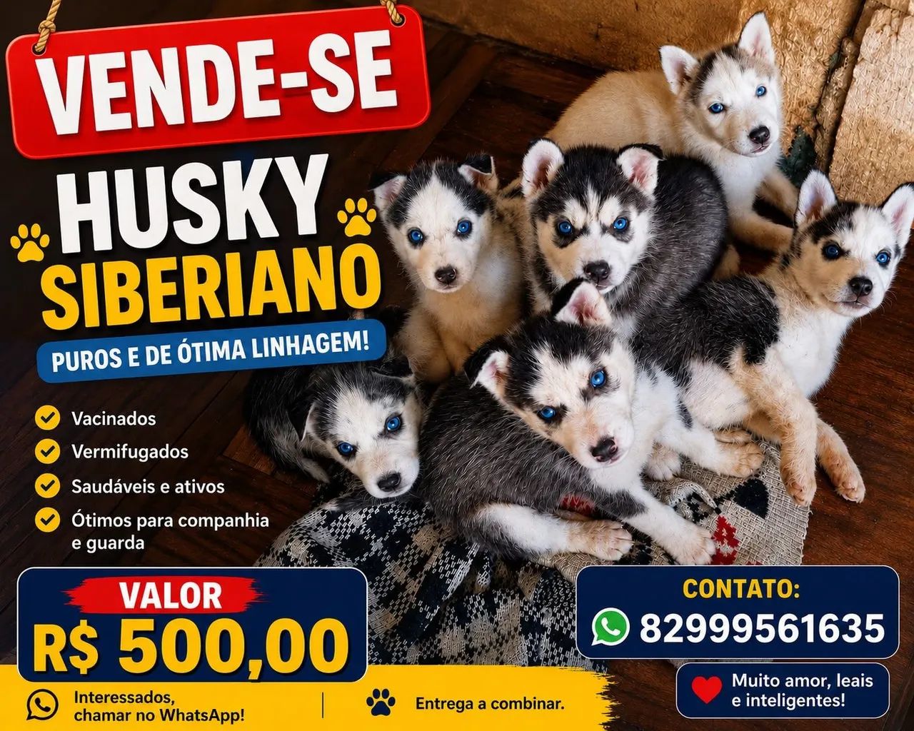 3 cachorras a venda.