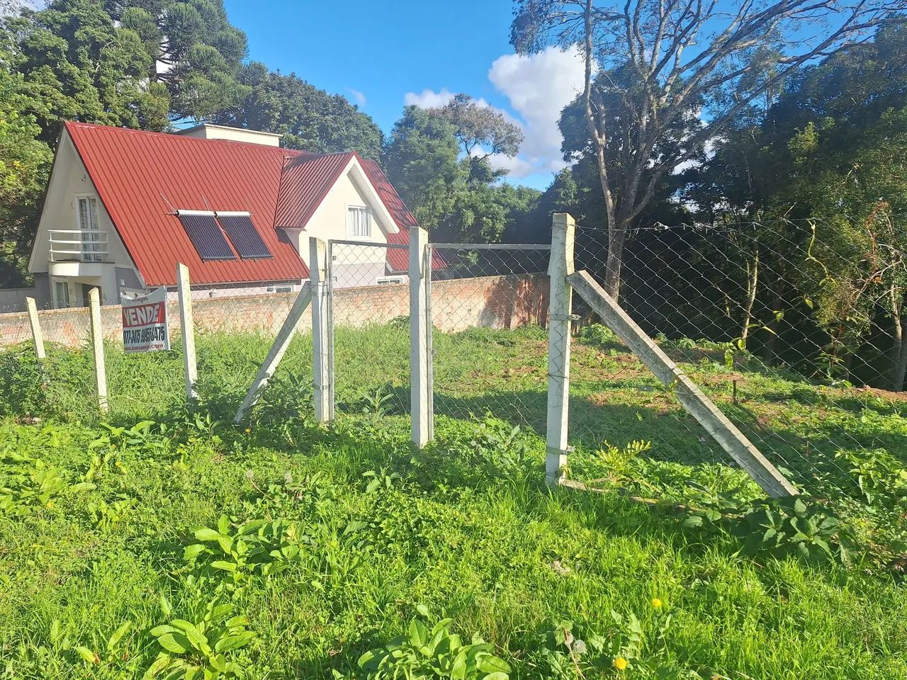 Terreno Pilarzinho 372m2 - Foto 2