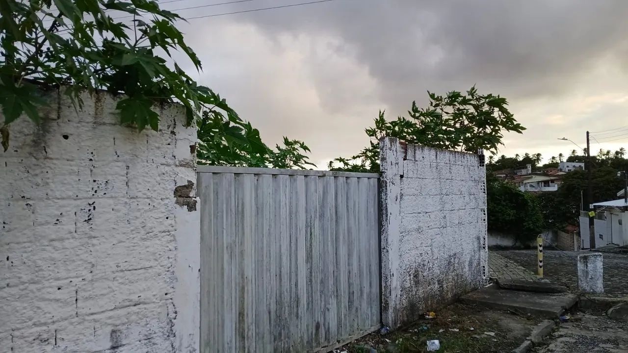 Terreno 5.000 metros Jaguaribe  - Foto 5