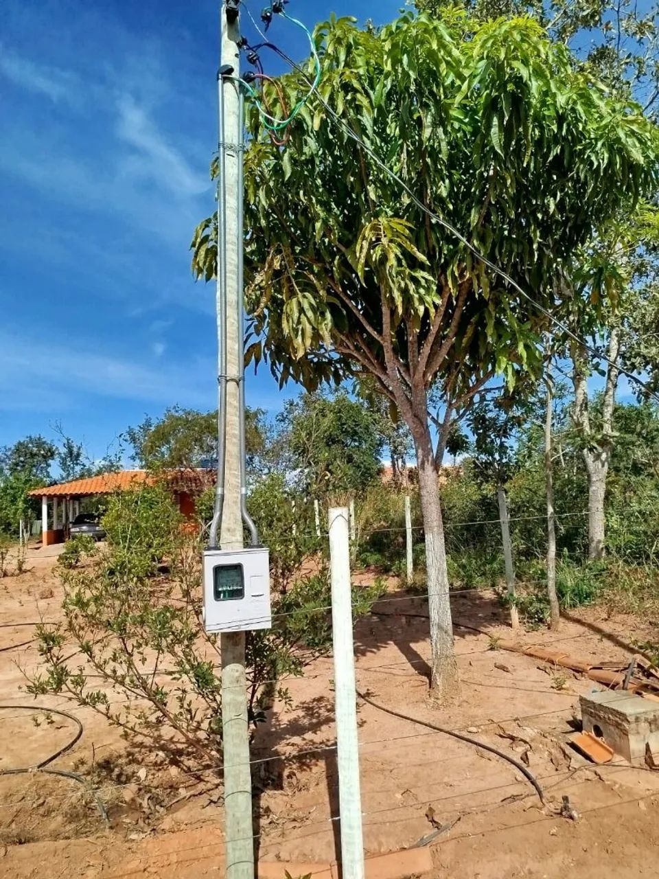 Chácara  - Foto 3