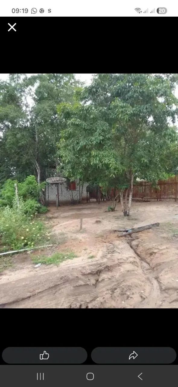 Terreno em alter do chao  - Foto 2