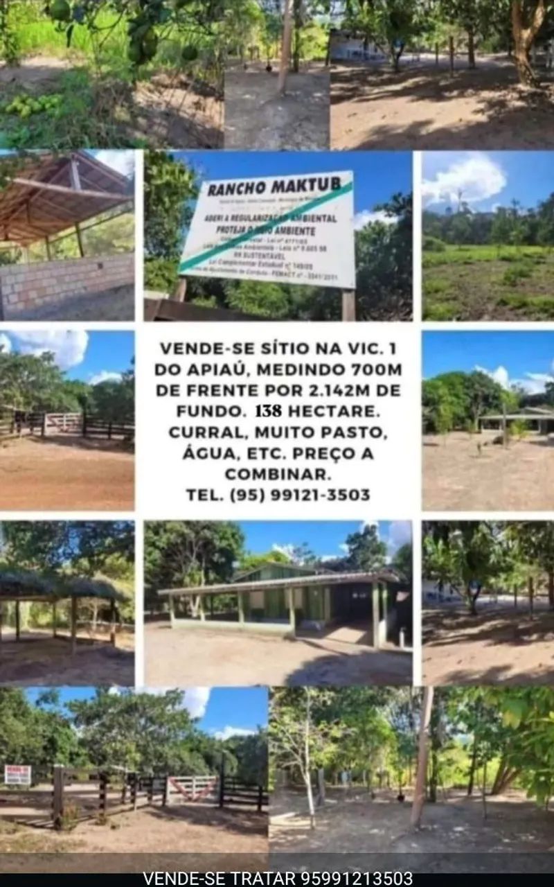 VENDE-SE SÍTIO NA VIC. 1 DO APIAÚ - MUCAJAI 