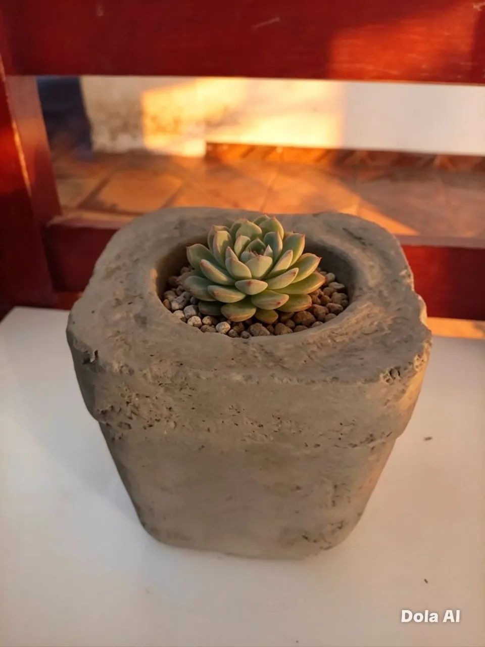Vaso para plantas 