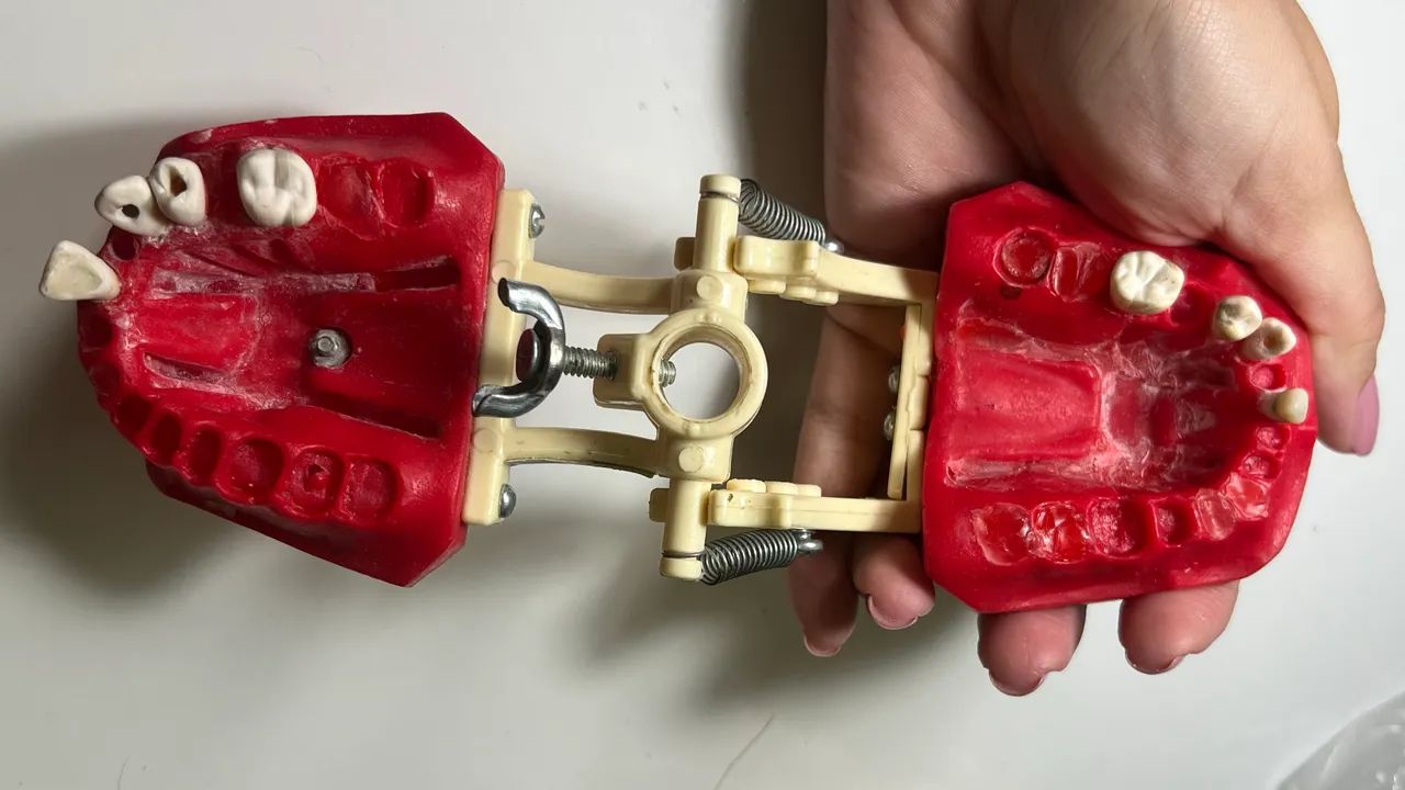 Manequim endodontia  - Foto 3