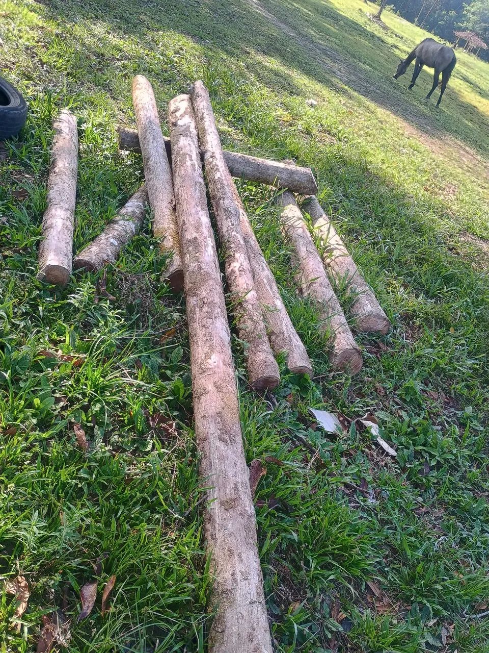 Madeira Lisa de Lei ( Avenida ) - Foto 2