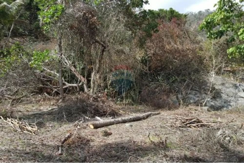 Terreno a venda em Sebollas - Foto 5