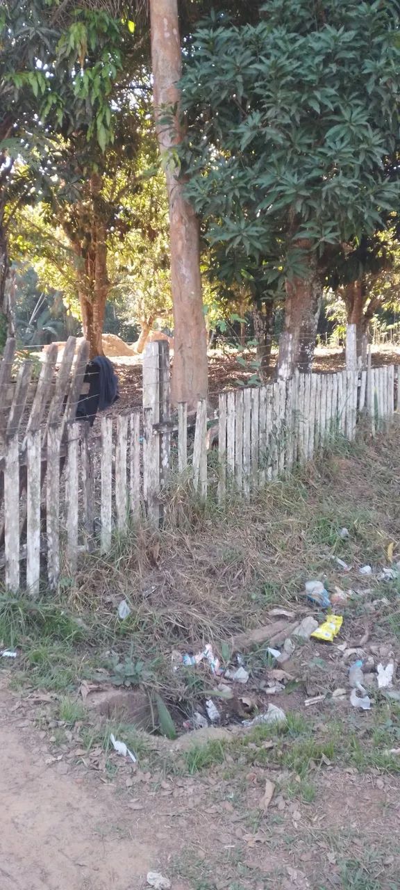 Vendo terreno no ramal bem fica - Foto 2