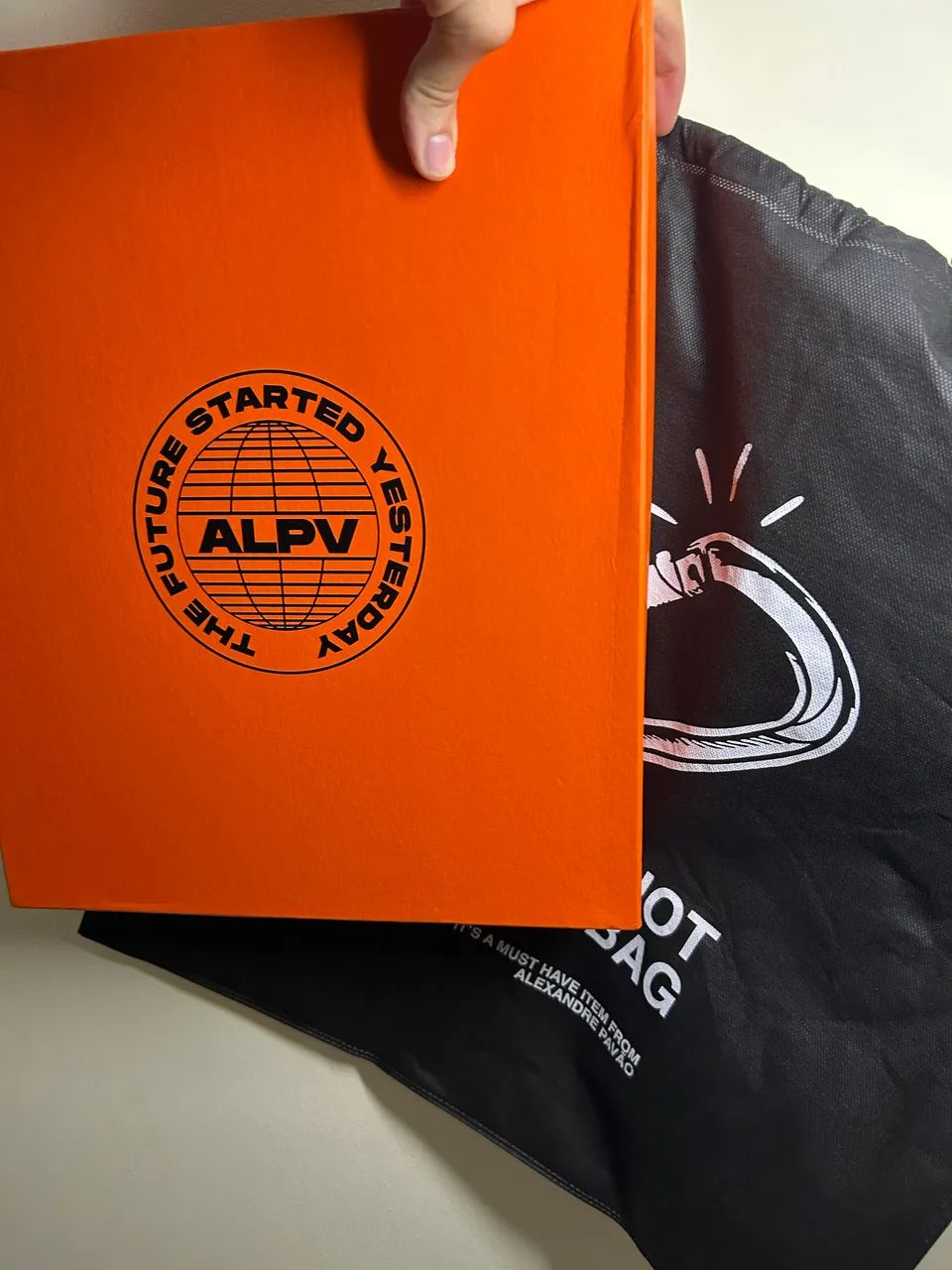 Bolsa Alexandre Pavão - Foto 5