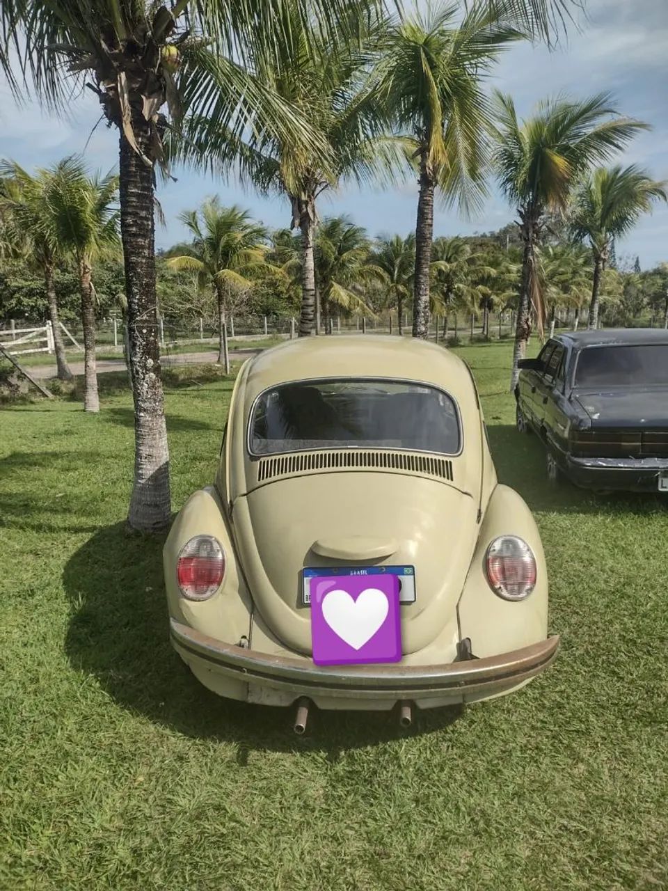 Volkswagen Fusca Fusca (gasolina) 1979