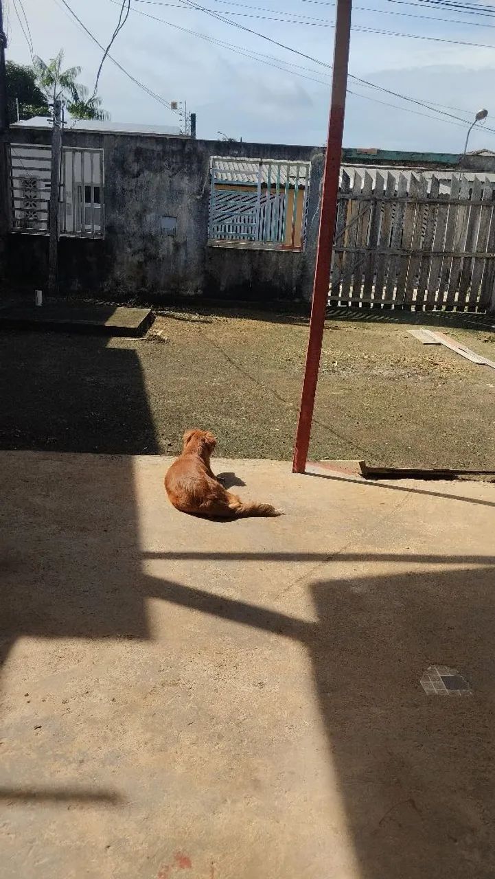 Vendo ou troco com uma outra casa  - Foto 3