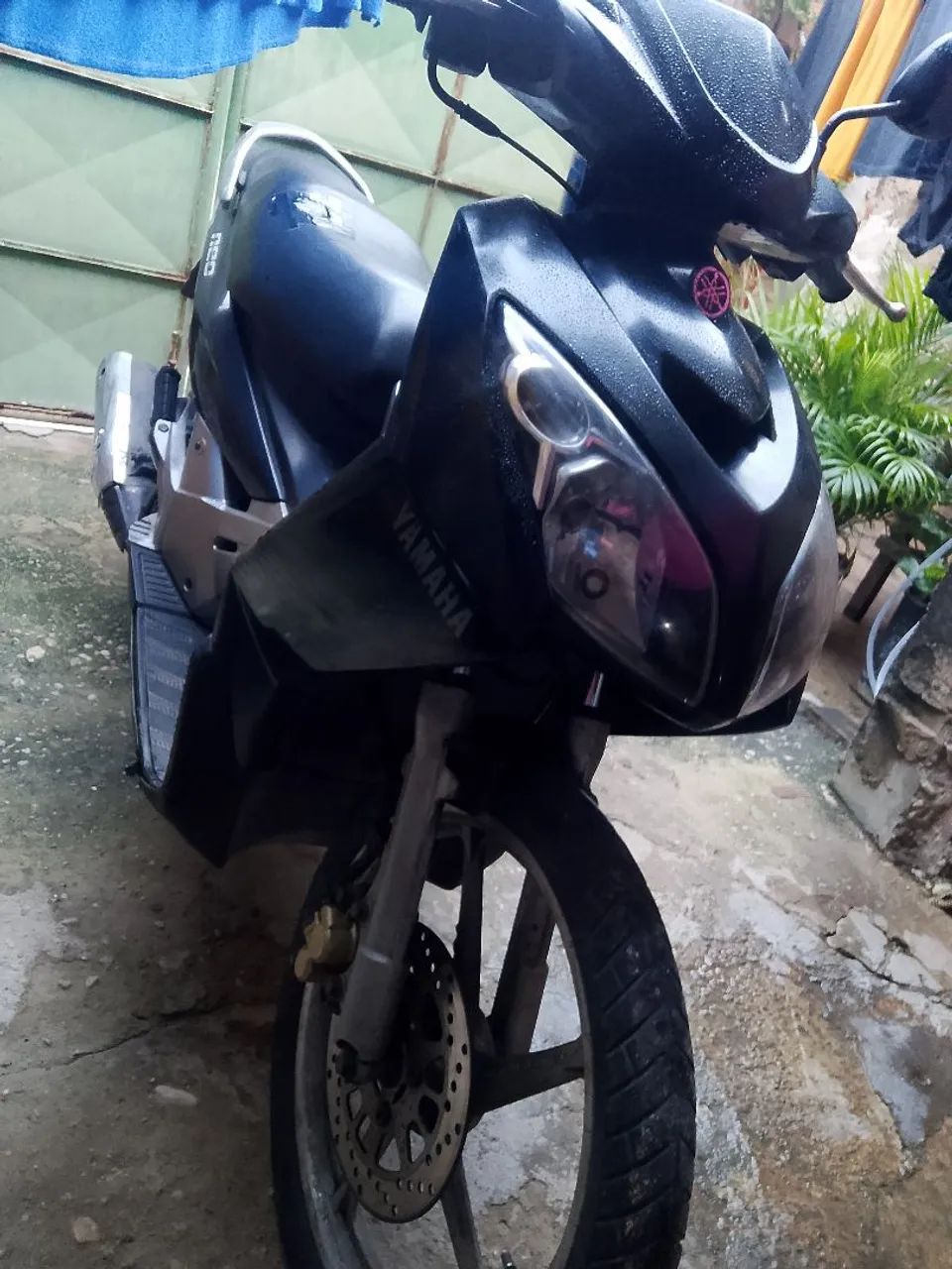 .Vendo neo 115