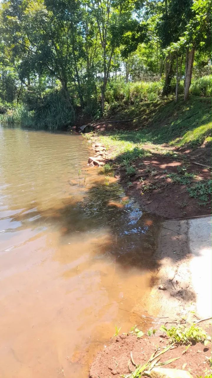 Chácara sem benfeitorias Miranda 2  - Foto 5