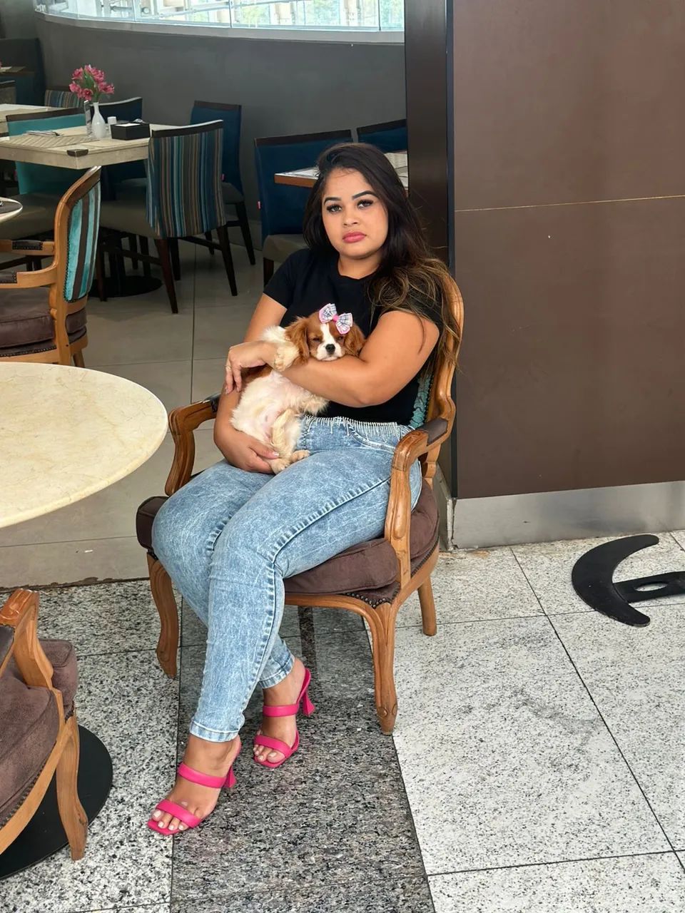 Cavalier king a pronta entrega  - Foto 3