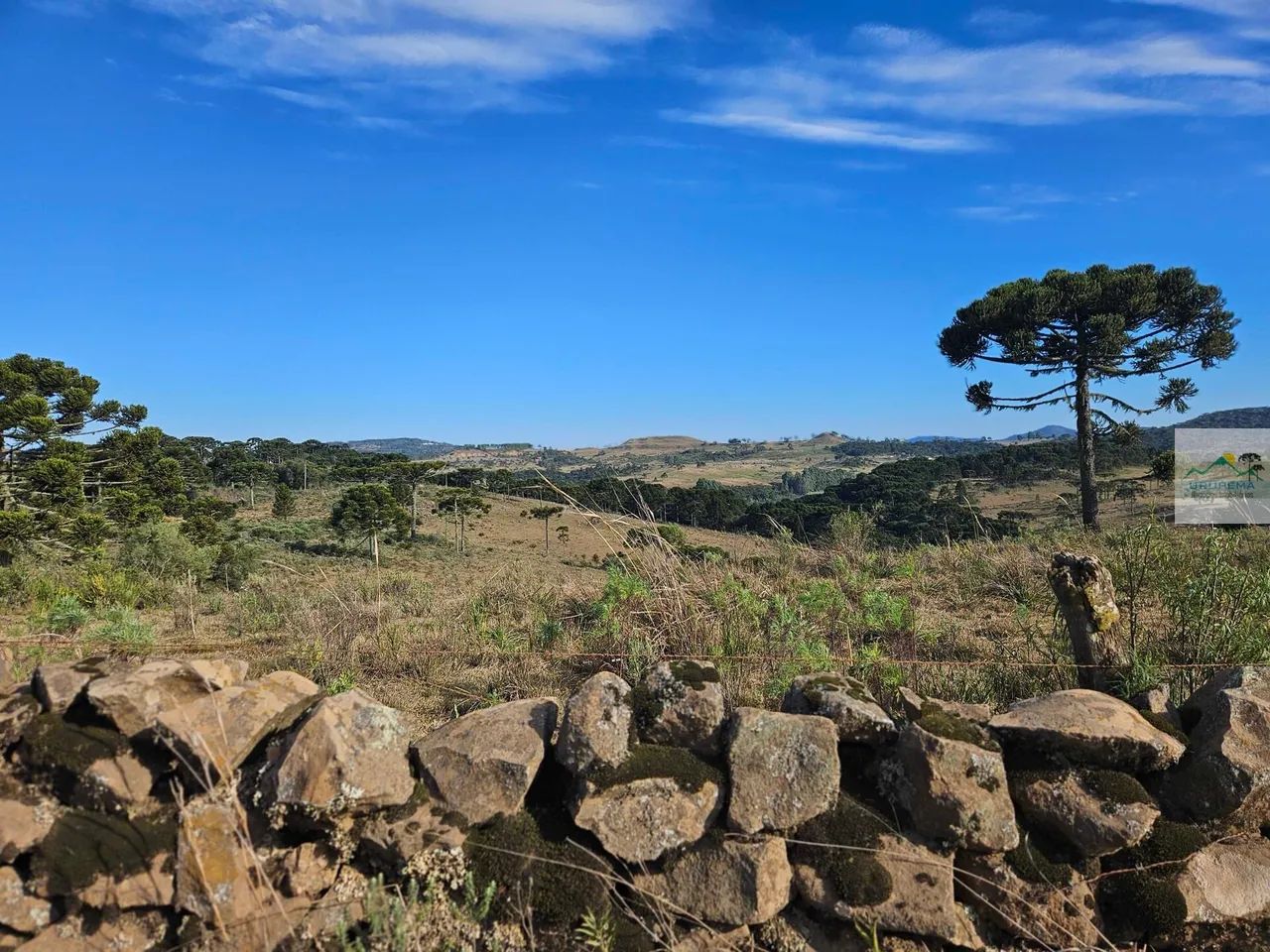 Área Rural em Cedro, Urupema/SC - Foto 3