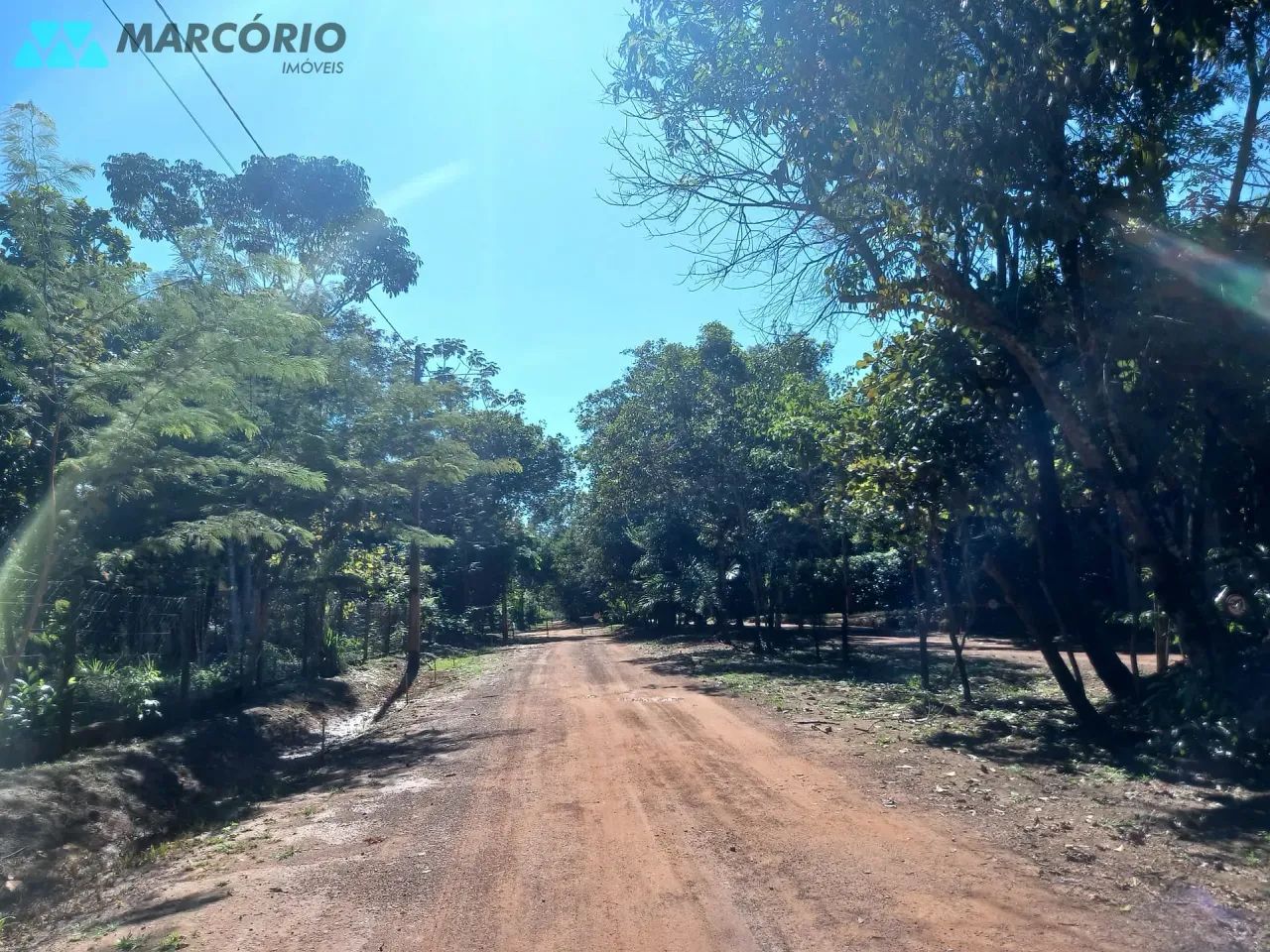 Chácara à venda, Condomínio das Palmeiras, Bela Vista de Goiás, GO - Foto 4