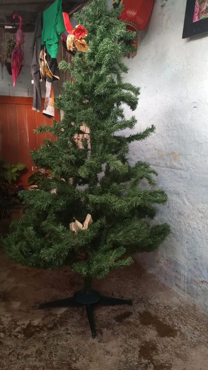 Árvore de natal 