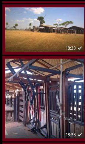Vendo fazenda em Luzinopolis-To, 90 alqueires com 70 formado