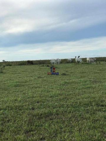 Fazenda a venda no estado do mato grosso - Foto 17