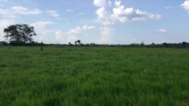 Fazenda de 4250 hectares no Cantá, na Serra da lua, ler descrição do anuncio - Foto 15