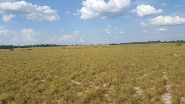 Fazenda de 4250 hectares no Cantá, na Serra da lua, ler descrição do anuncio - Foto 19