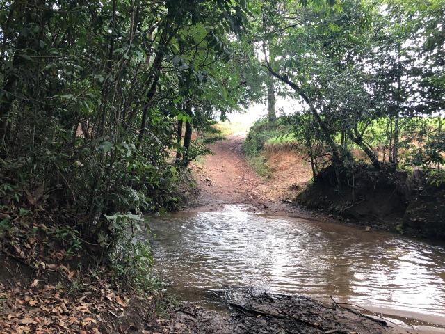 240 Alq. 160 km de Goiânia. (Gado e Soja) - Foto 15