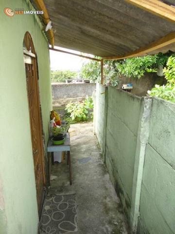 Casa à venda com 2 dormitórios em Glória, Belo horizonte cod:519597 - Foto 6