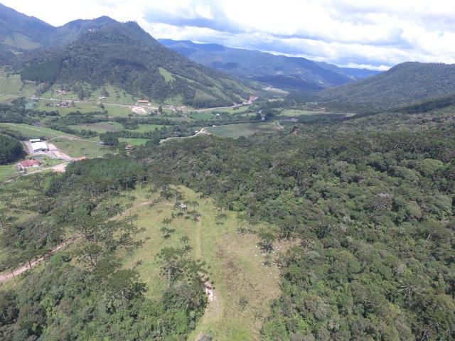 Sitio em Urubici /chácara em Urubici /área rural em Urubici - Foto 7