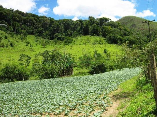 Fazenda rural à venda, Sebastiana, Teresópolis. - Foto 16