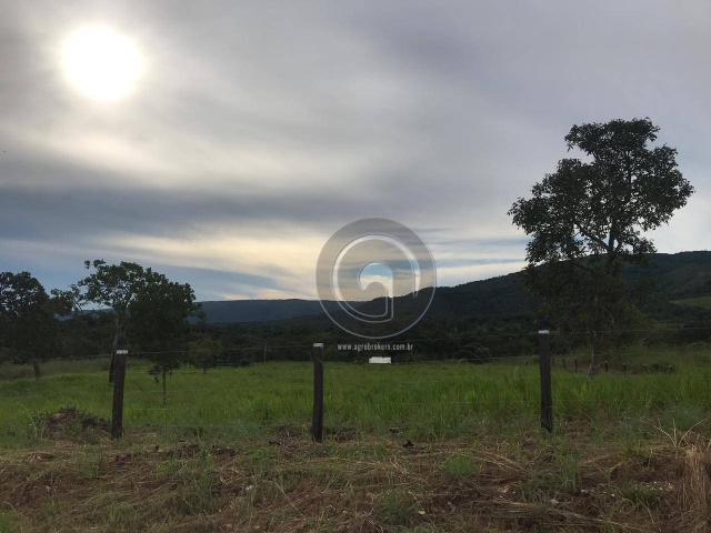 Sítio 11,8 ha na região distrito da guia - Foto 6