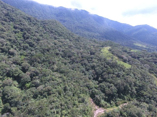Sitio em Urubici /chácara em Urubici /área rural em Urubici - Foto 5
